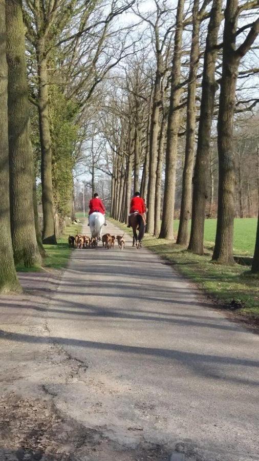 Hoeve De Laan 부덴버그 외부 사진