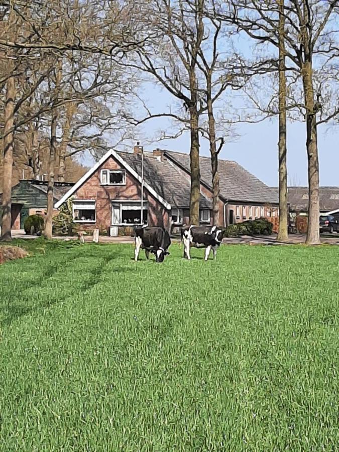 Hoeve De Laan 부덴버그 외부 사진